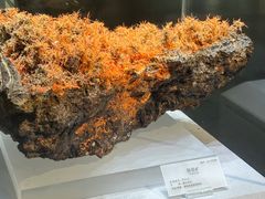 -湖南省地质博物馆