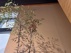 -十二舍·湯物素煮(江泰潤政店)