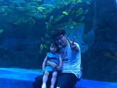 -芜湖新华联大白鲸海洋公园