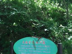 -大岭沟猕猴桃谷风景区