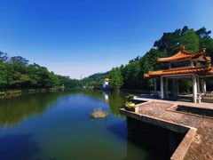 -深圳仙湖植物园