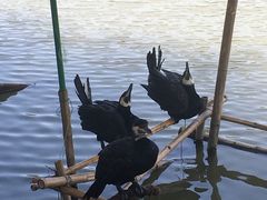-长兴太湖图影湿地文化园
