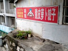 -半月镰胡姐脆皮萝卜饺子