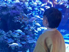 -成都浩海立方海洋公园