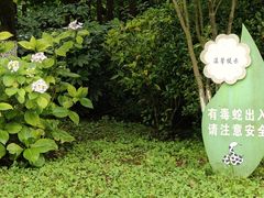 -观山湖公园