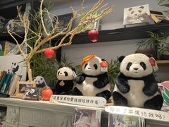 -轩客会(熊猫书店)