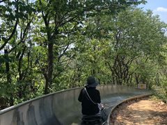 -富斯特索道