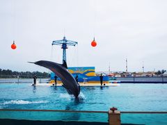 -秦皇岛乐岛海洋王国