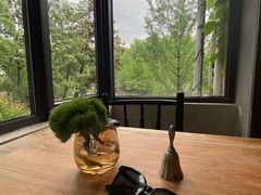 景观位-Ginger(兴国路店)
