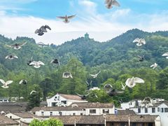 -九华山风景区