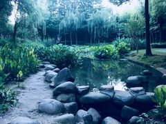 -陈家山荷花公园