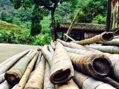 -楠溪江风景名胜区