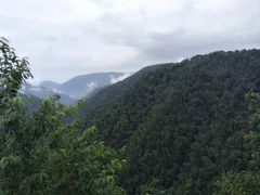-凤凰山国家森林公园