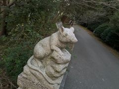 -顾村公园