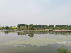 -东郊湿地公园