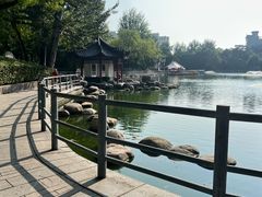 -莲湖公园