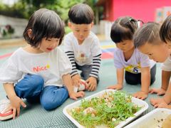 -加蒙特森林幼儿园(广州市增城区店)