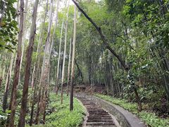 -黄埔油麻山森林公园