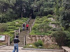 -铁山坪森林公园