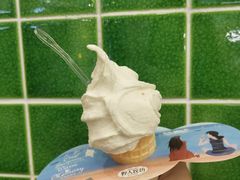 -野人先生现做冰淇淋(西安赛格店)