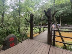 -茅兰沟国家森林公园