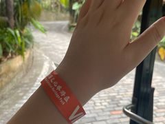 -海南槟榔谷黎苗文化旅游区