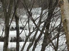 -洛阳白云山景区