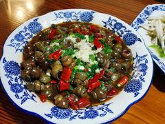 -呼吸森林·生态农庄农家乐私房菜