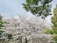 -堤角公园