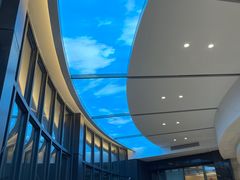 -阳光假日大酒店-西餐·自助餐