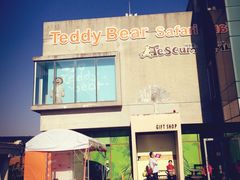 -济州岛泰迪熊博物馆