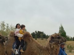 -鄂尔多斯野生动物园