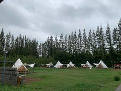 -前小桔亲子创意农场·草莓采摘·露营烧烤