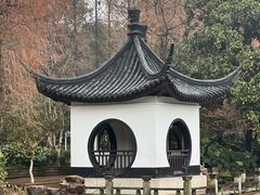 -红梅公园