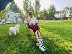 -TIPPI营地 房车主题·露营烧烤团建轰趴(天安假日店)