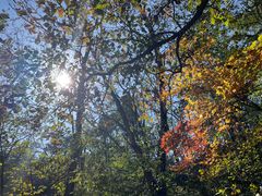 -玉渡山自然风景区