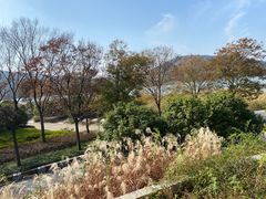 -长广溪湿地公园