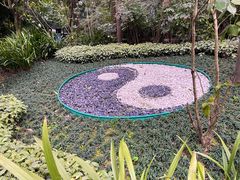 -青城道汤池