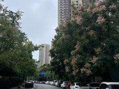 -洋湖国家湿地公园