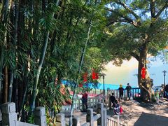 -广州市流溪河国家森林公园