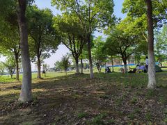 -滆湖低碳生态公园