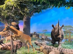 -国家自然博物馆