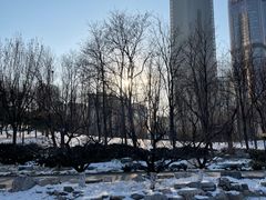 -大望京公园