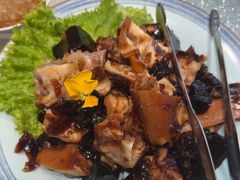 -海派美食·家宴海鲜青岛菜·石锅鲽鱼头(东方城店)