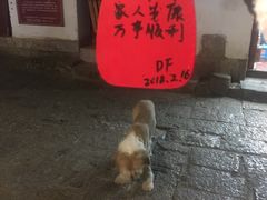 -民食香·腊排骨野生菌美食(木府店)