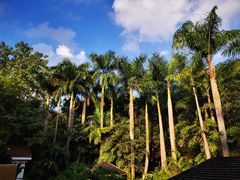 -嘉和K6温泉微度假