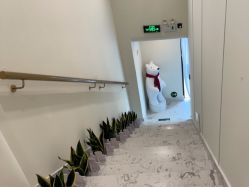 点击看大图 -海涛医疗美容·面部抗衰·注射美鼻