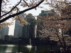-西北湖绿化广场