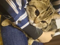 -暖阳宠物医院·犬猫康复中心·骨科