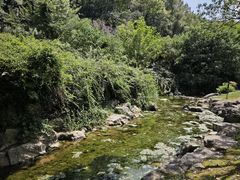 -陶祖圣境风景区